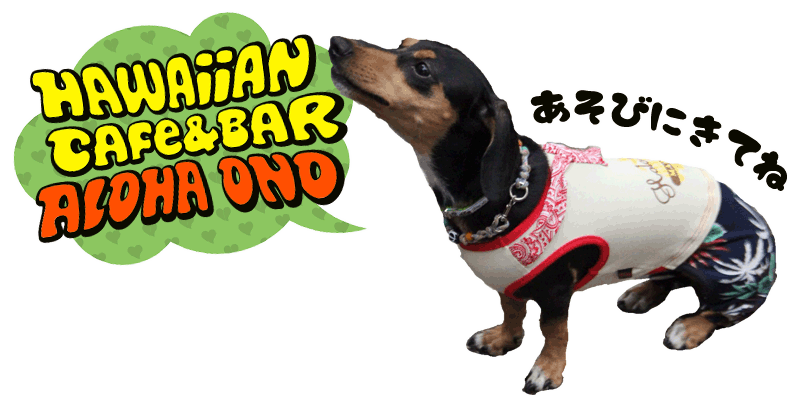 Hawaiian Cafe&Bar ALOHAONO ~カンボジア/プノンペンで女単身飲食店経営中~
